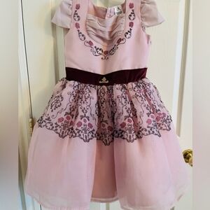 Aurora Sleeping Beauty Inspired Dress ADAPTIVE - Special Needs Siz 6